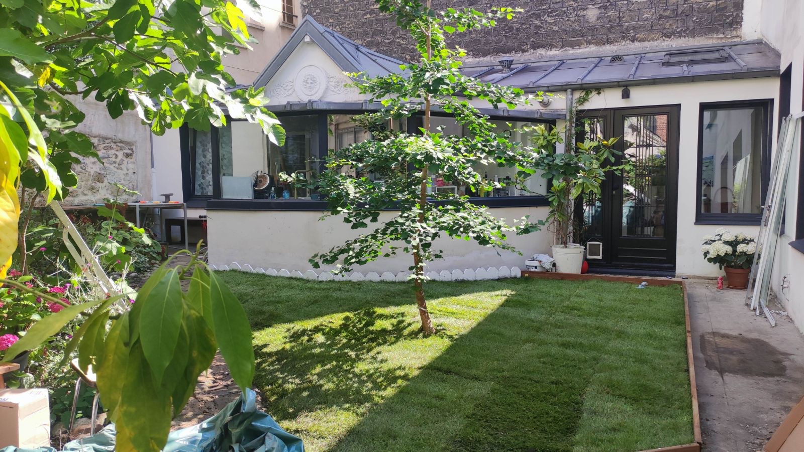 Jardin de ville avec gazon neuf, bordure en bois et jeune arbre