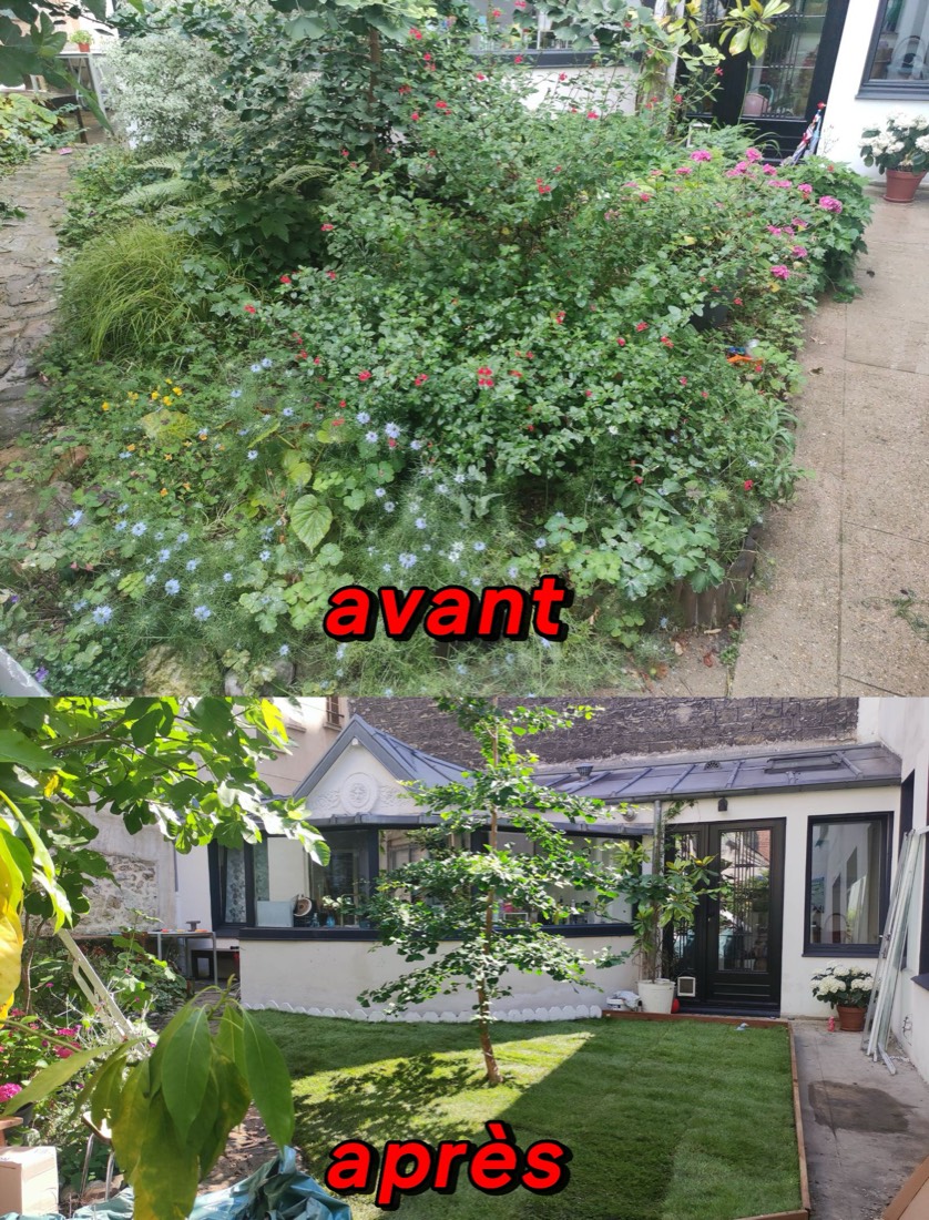 Jardin de ville : massif envahi avant, gazon et arbre dégagés après